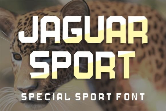 Jaguar Sport: A Bold Display Font for Modern Business Branding